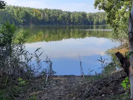 Schwansee (Jamlitz)-1