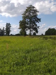 Schwansee (Jamlitz)-3