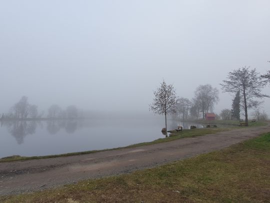 Meister's Forellenhof-4