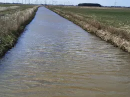 Neue Drift (Bensersiel)