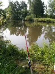 Haune (Bad Hersfeld)