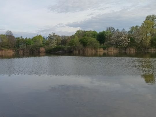 Birkwitzer See ALLE ANGELN