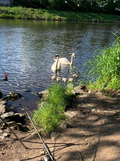 Teltowkanal (Berlin-Teltow)-3