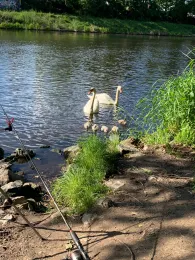 Teltowkanal (Berlin-Teltow)-3