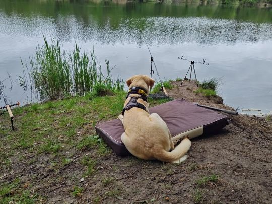 Autobahnsee Reckahn-3