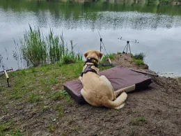 Autobahnsee Reckahn-3