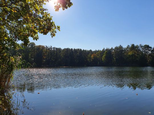 Autobahnsee Reckahn-2