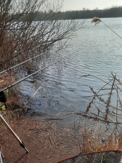 Meitzer Teich