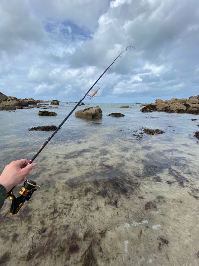 Plounéour-Brignogan-plages-1