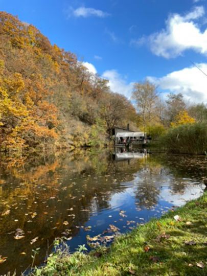 Vereinsweiher AC Fischbach-1