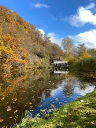 Vereinsweiher AC Fischbach-1