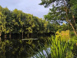 Langer Teich (Eisfeld)-1