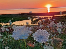 Ostsee (Langeland)-4