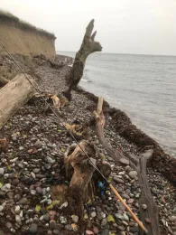 Ostsee (Langeland)-3