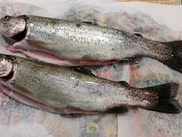 Anwaltinger See (LFV Augsburg)-2