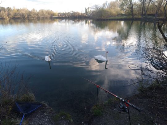 Anwaltinger See (LFV Augsburg) angeln