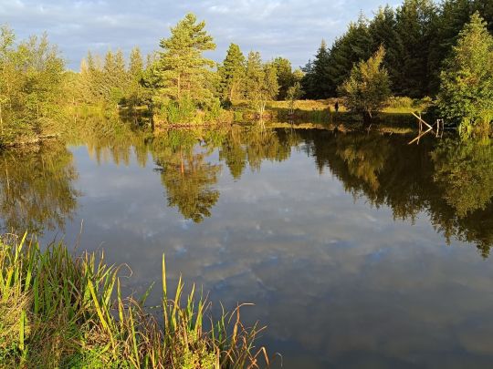 Ho Fiskesø Put and Take-1