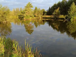 Ho Fiskesø Put and Take-1