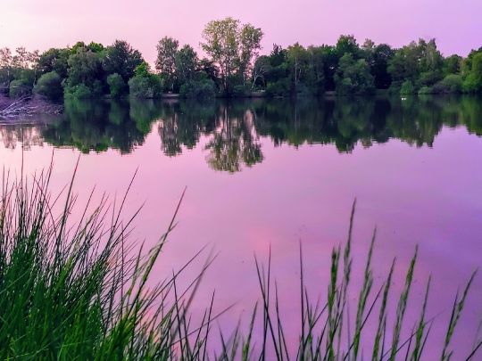 Baggersee Diepholz-2