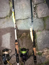 Rhein (Ginsheim-Gustavsburg)-2