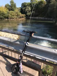 Rhein (Ginsheim-Gustavsburg)-1