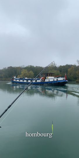 Canal du Rhône au Rhin (Niffer)