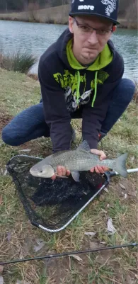 Canal du Rhône au Rhin (Niffer)-4