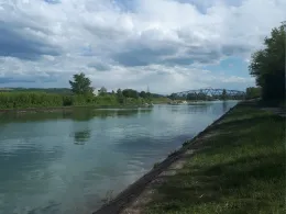 Canal du Rhône au Rhin (Niffer)-1