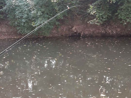 Kinzig (Bad Soden - Salmünster)-3