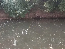 Kinzig (Bad Soden - Salmünster)-3