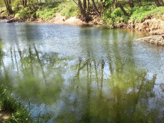 Kinzig (Bad Soden - Salmünster)-4