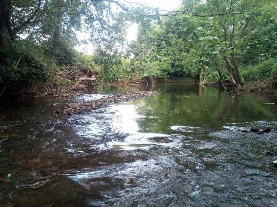 Kinzig (Bad Soden - Salmünster)-2