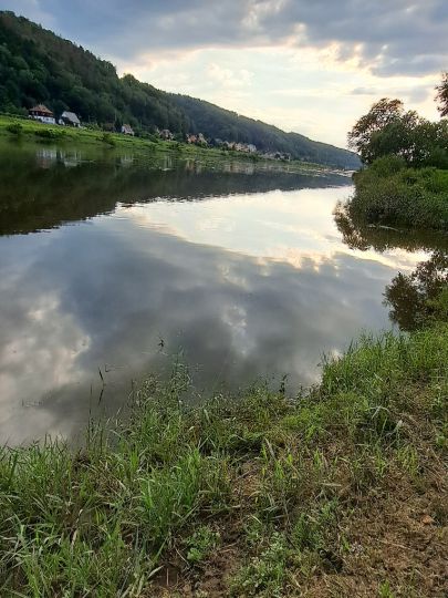 Elbe (Bad Schandau)-1