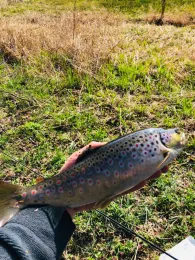 Lüder (Großenlüder)-1