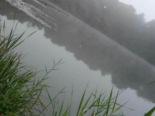 Froschkanzelsee (Lorsch) angeln