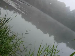 Froschkanzelsee (Lorsch)