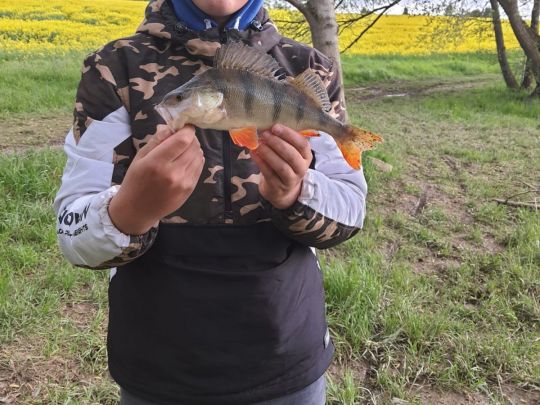 Talsperre Zeulenroda-4