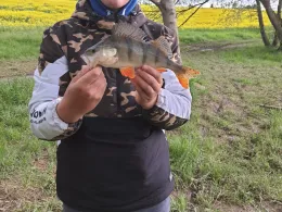 Talsperre Zeulenroda-4