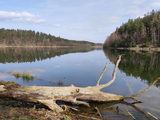 Talsperre Zeulenroda-2