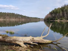 Talsperre Zeulenroda-2