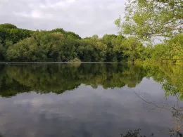 Ententeich (Salzgitter)