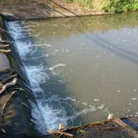 Saalbachkanal (Russheim)-0