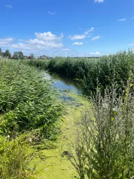 Mittelbek (Karlshagen)