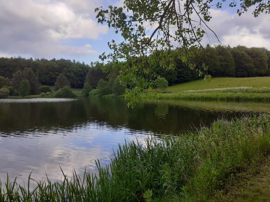 Hofteich Mönchneversdorf angeln