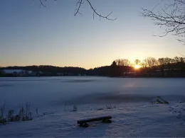 Hofteich Mönchneversdorf-3