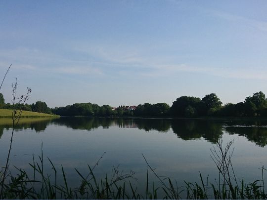 Hofteich Mönchneversdorf-4