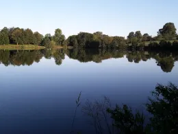 Hofteich Mönchneversdorf-2