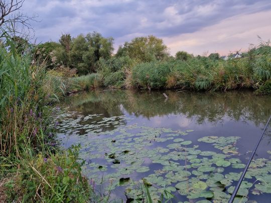 Nidder (Schöneck)-3