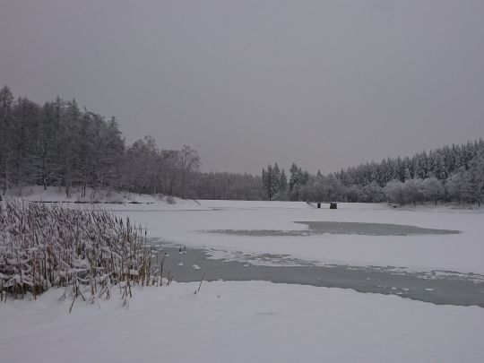 Gondelteich (Friedrichsbrunn)-1