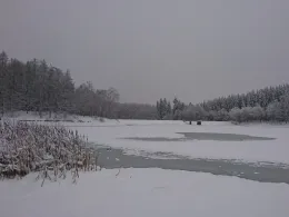 Gondelteich (Friedrichsbrunn)-1